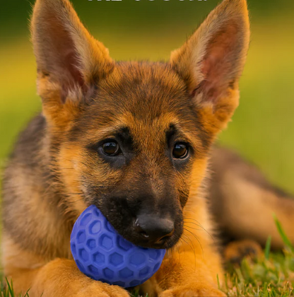 PowerChew™ Indestructible Dog Toy
